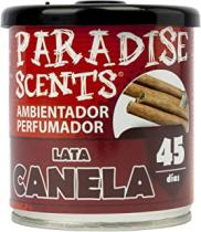 ABCPARTS PER80130 - PERFUMADOR LATA GEL CANELA