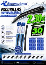 AA OFERTA 166 - ESCOBILLAS DE GOMAS